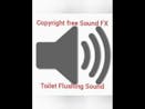 Toilet Flushing SFX 14