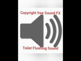 Toilet Flushing SFX 14