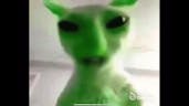 ugly alien cat