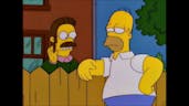Homer Simpson: Flanders