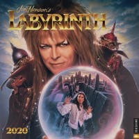 The labyrinth. It doesn't look that hard.