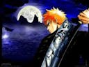 Bleach Music - Will of the heart