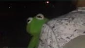 Kermit sings Usher