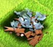Building destroyed - Clash of Clans