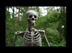 Skeleton Rattling Sound Effect