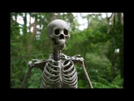 Skeleton Rattling Sound Effect