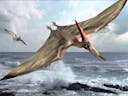 Pterodactyl Sound