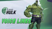 Marvel Rivals: Bruce Banner & Hulk Voice Line