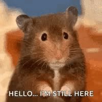 why are you still here?