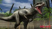 INDOMINUS VICTORY 