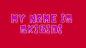 MY NAME IS SKIBIDI LAST NAME TOILET