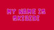 MY NAME IS SKIBIDI LAST NAME TOILET