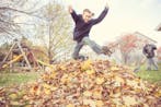 Play In Pile Of Leaves