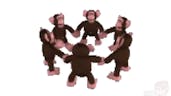 monke circle