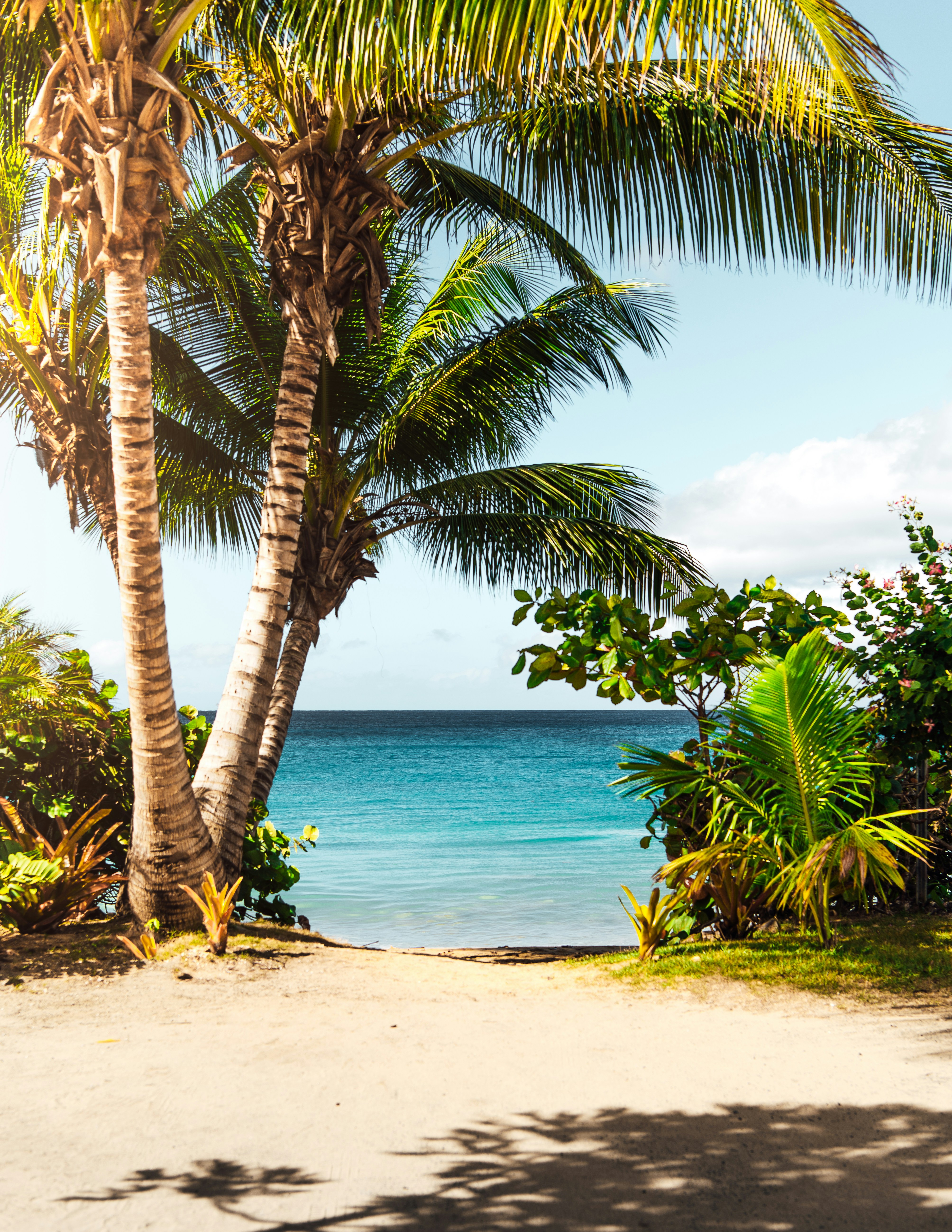 Sunshine Island Oasis