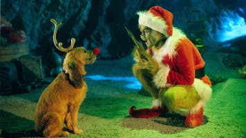 You know, Christmas is my favorite time of year. I..