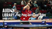 Ping Pong Serve and Volley
