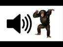 Capuchin Sound effect