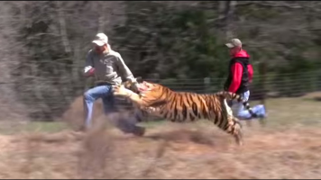 Things can get a little crazy out here - Tiger King