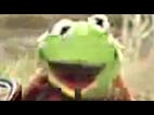 Kermit Dies In A Tragic Bicycle Accident...