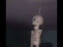 Skeleton on fan sound