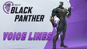  Black Panther Voice Lines