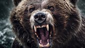 Grizzly Bear Roar (Scary)