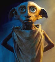 Dobby has come to tell you Sir