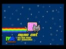Nyan cat Elevator style