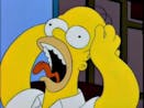 Homer Simpson: No (crying)