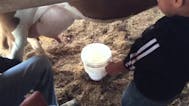its a pee pee