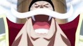 Whitebeard Laugh