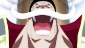 Whitebeard Laugh