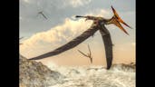 Pterosaur Scary Scream