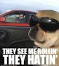 They See Me Rollin They Hatin