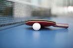 Ping Pong Paddle on Table