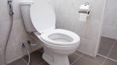 Toilet Flushing SFX 8 