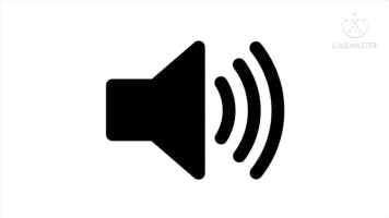 Animal crossing new horizons Spin sound effect