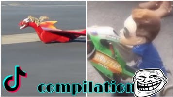 Man I'm finna whip dis hoe (funny compilation)