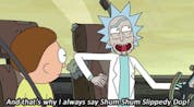 Rick Sanchez Shum