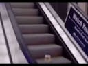 Mayonnaise on an escalator