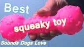 Dog Squeaky Toy