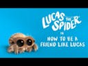 Lucas the Spider – How to be a Friend Like Lucas