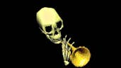 down with the doot 