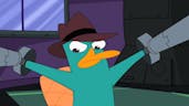  hey where's perry
