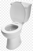 Toilet Flushing SFX 16