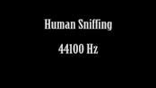 Human Sniffing 