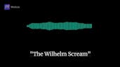 The Wilhelm Scream