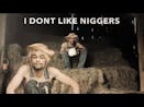 I Don't Like Niggers