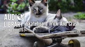 Skateboard Trick And Crash